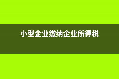 小企业缴纳所得税会计分录怎么写?(小型企业缴纳企业所得税)