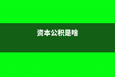 资本公积指的是什么意思?(资本公积是啥)