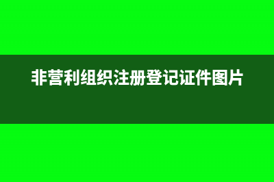 非营利组织注册资金借的怎么记账？(非营利组织注册登记证件图片)