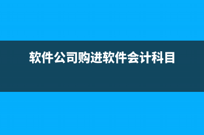 一次性支付的融资租赁手续费如何做财务处理？(一次性付清的优缺点)