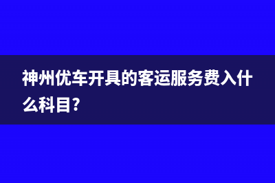 一般纳税人只交社保其他0申报如何处理？(一般纳税人只交进项税吗)