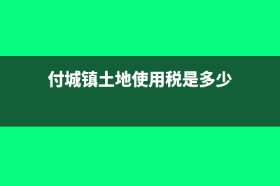 付城镇土地使用税及滞纳金怎么做凭证(付城镇土地使用税是多少)