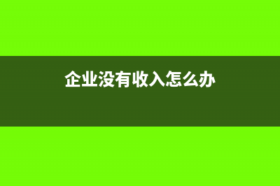 新企业没有收入只有支出会计分录怎么做?(企业没有收入怎么办)