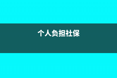 个人承担社保如何做账(个人负担社保)