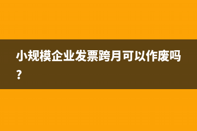 小规模企业发票怎么申请十万位发票？(小规模企业发票跨月可以作废吗?)
