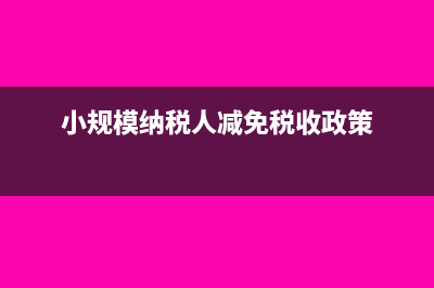 小规模纳税人减免税如何进行账务处理？(小规模纳税人减免税收政策)