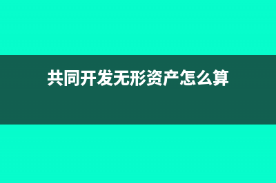 共同开发无形资产账务处理(共同开发无形资产怎么算)