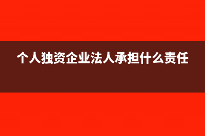 个人独资企业法人可以发工资吗?(个人独资企业法人承担什么责任)