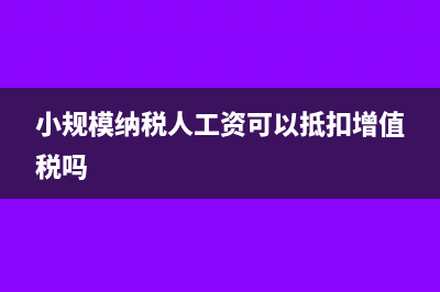 小规模纳税人工资是否可以不计提呢？(小规模纳税人工资可以抵扣增值税吗)