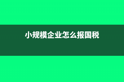 小规模国税报哪些税种?(小规模企业怎么报国税)