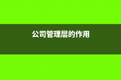公司层管理人员的工资怎么做账(公司管理层的作用)