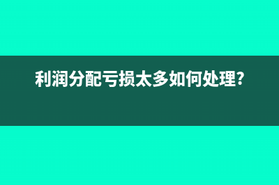 利润分配亏损太多如何处理?