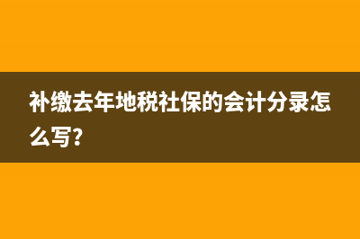 补缴去年地税社保的会计分录怎么写？