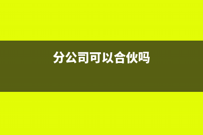 分公司可以合并纳税吗?(分公司可以合伙吗)