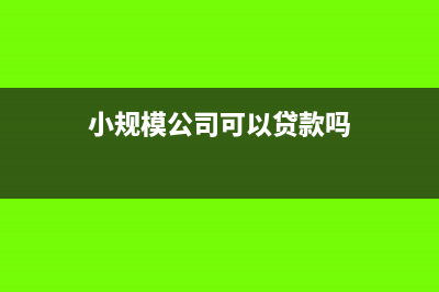 小规模公司可以开设备租赁费的发票吗?(小规模公司可以贷款吗)
