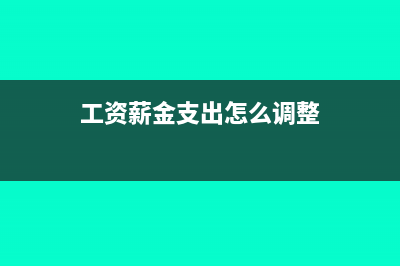 工资薪金支出怎么交税?(工资薪金支出怎么调整)