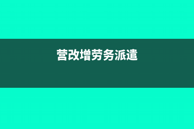 如何查询国税应该交多少税?(国税怎么查缴税明细)