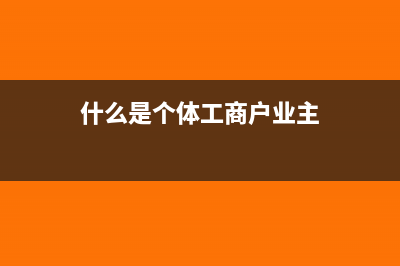 什么是个体工商户生产经营所得税率？(什么是个体工商户业主)