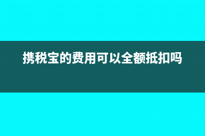 携税宝费用能全额抵扣增值税吗(携税宝的费用可以全额抵扣吗)