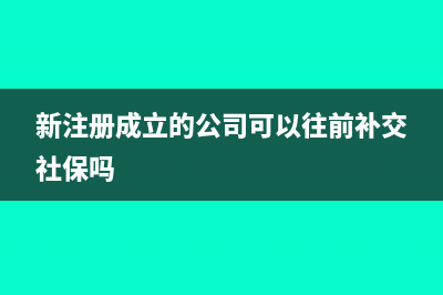 新注册成立的公司如何报税?(新注册成立的公司可以往前补交社保吗)