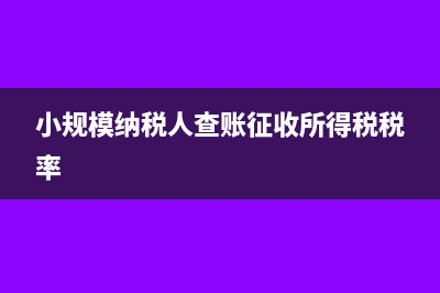 小规模纳税人查帐征收如何申报?(小规模纳税人查账征收所得税税率)