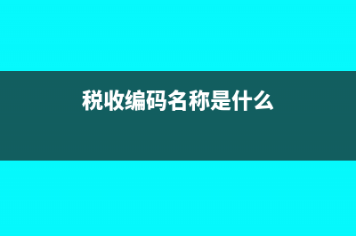 税收编码如何在发票上体现(税收编码名称是什么)