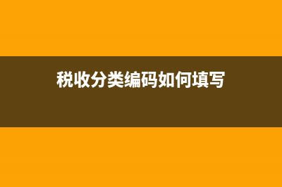 税收分类编码如何选择?(税收分类编码如何填写)