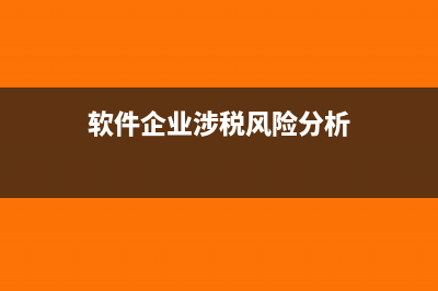 软件企业涉税风险有哪些(软件企业涉税风险分析)