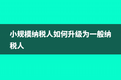 小规模纳税人如果不开发票不交税可以吗?(小规模纳税人如何升级为一般纳税人)