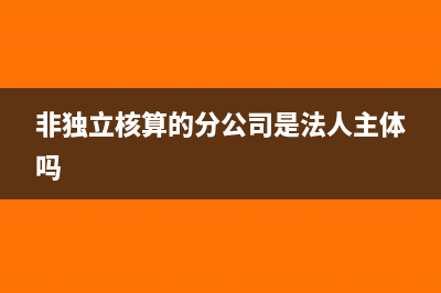 非独立核算的分公司如何缴纳企业所得税？(非独立核算的分公司是法人主体吗)