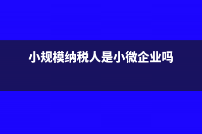 小规模纳税人是否可以免征企业所得税(小规模纳税人是小微企业吗)