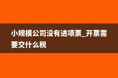 小规格公司没有进项怎么开票？(小规模公司没有进项票 开票需要交什么税)