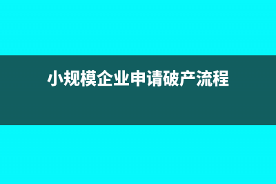 小规模企业申请增加货物销售税种需什么资料(小规模企业申请破产流程)