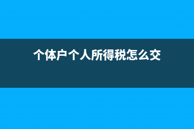 个体户个人所得税怎么填才不用缴？(个体户个人所得税怎么交)