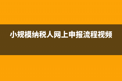 小规模纳税人网上申报表都可以填零吗(小规模纳税人网上申报流程视频)