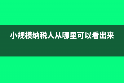增值税普通发票抬头能开人名吗？(增值税普通发票查询真伪)