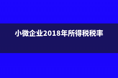 小微企业2018年所得税报表怎么填？(小微企业2018年所得税税率)