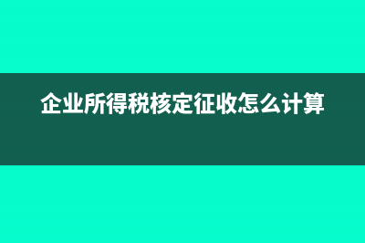 税控技术服务费抵增值税后地税计算(税控技术服务费计入什么科目)