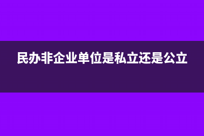 民办非企业单位怎样税务申报？(民办非企业单位是私立还是公立)