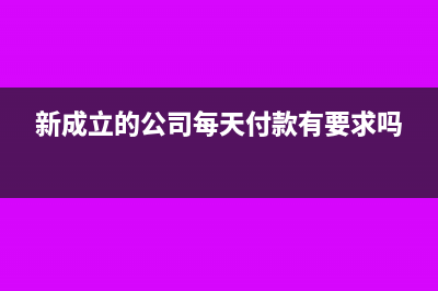 新成立的公司每个月收入很少怎么交税？(新成立的公司每天付款有要求吗)