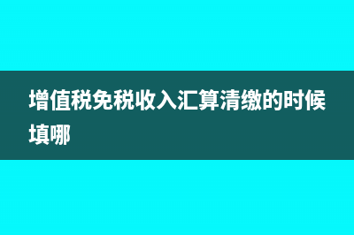 增值税免税收入项目有哪些?(增值税免税收入汇算清缴的时候填哪)