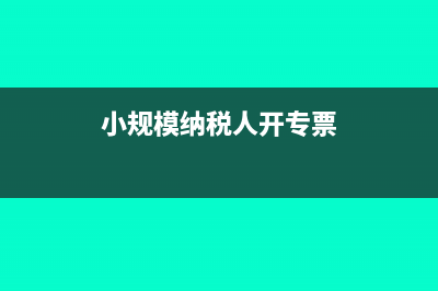 小规模纳税人开票具体流程是什么?(小规模纳税人开专票)