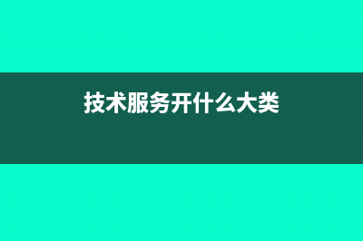 技术服务开什么发票？(技术服务开什么大类)