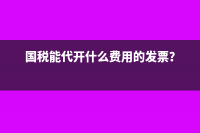 国税能代开什么费用的发票？