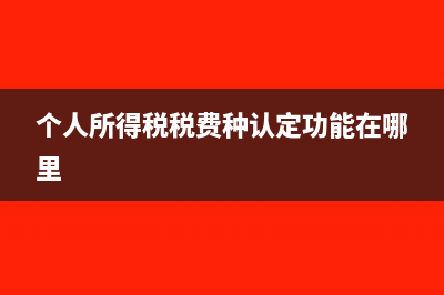 个人所得税税费怎么算?(个人所得税税费种认定功能在哪里)