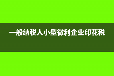 一般纳税人小型微利企业增值税如何申报？(一般纳税人小型微利企业印花税)