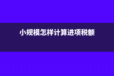 小规模怎样计算所得税?(小规模怎样计算进项税额)