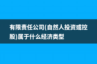 有限责任公司（自然人独资）的单位性质是怎样的(有限责任公司(自然人投资或控股)属于什么经济类型)