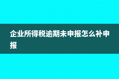企业所得税逾期未申报解决方法有什么?(企业所得税逾期未申报怎么补申报)