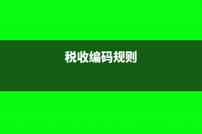 盐酸税收编码与盐酸类的物品怎么写分录(税收编码规则)